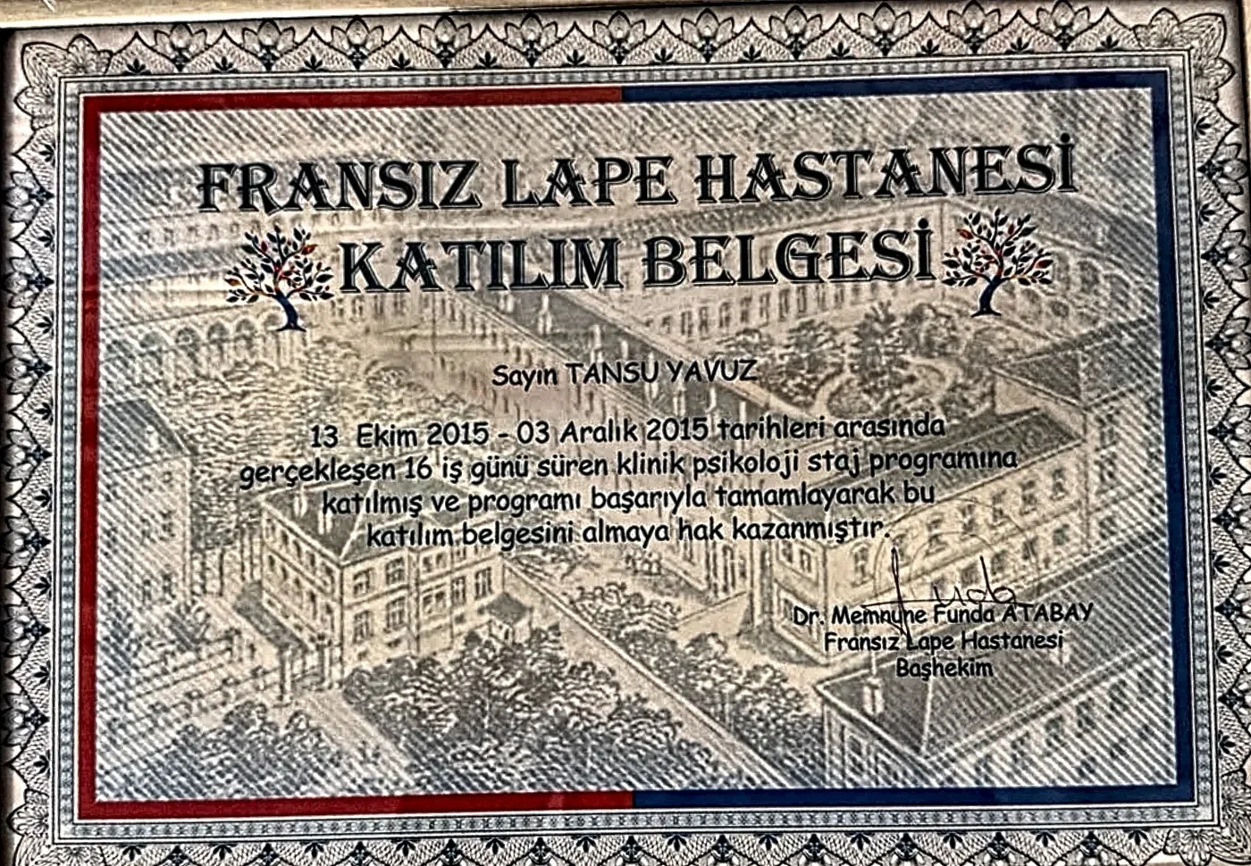 Eğitim sertifikaları