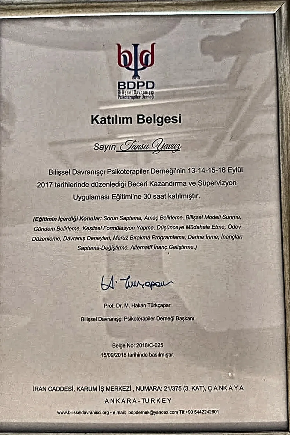Eğitim sertifikaları